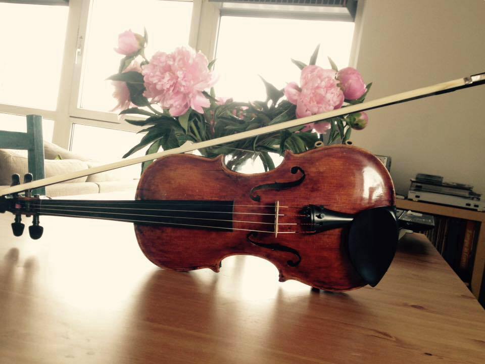 Viool met bloemen